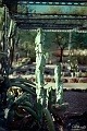 Cactus Garden 4 